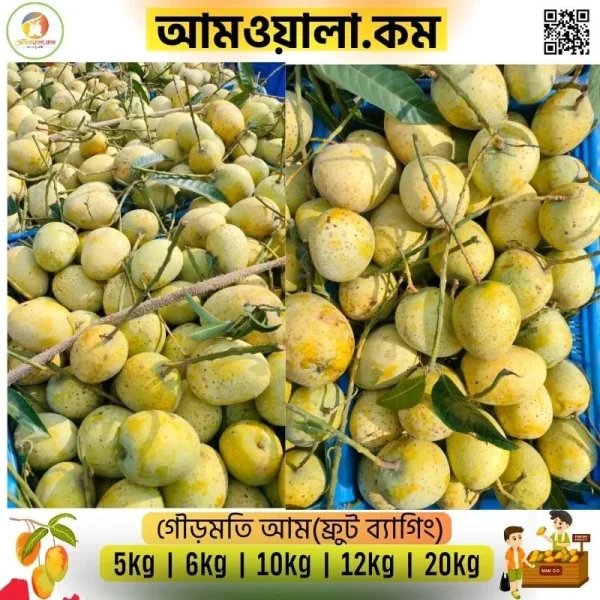 Gormoti | গৌড়মতি