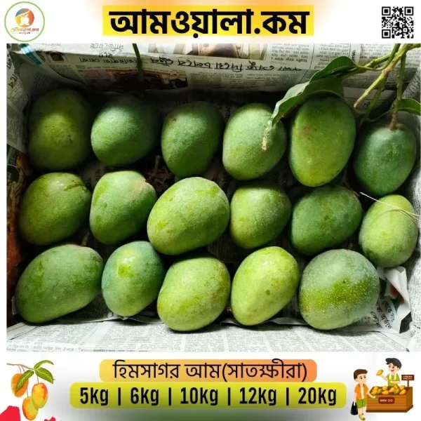Himsagor | হিমসাগর আম - Image 2