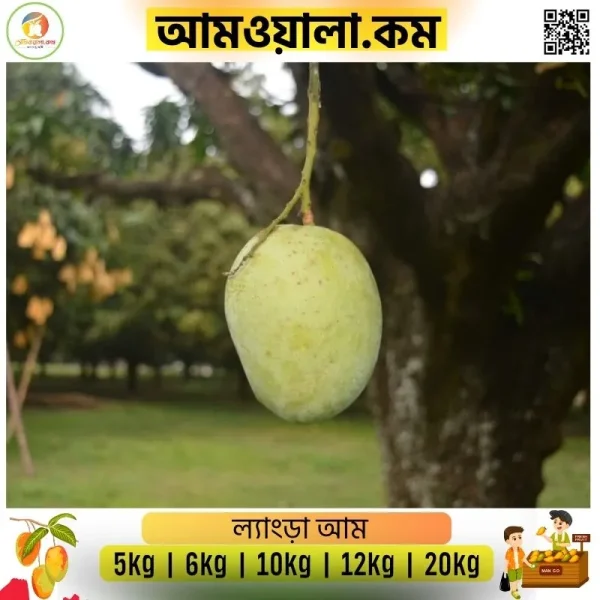 Langra | ল্যাংড়া আম