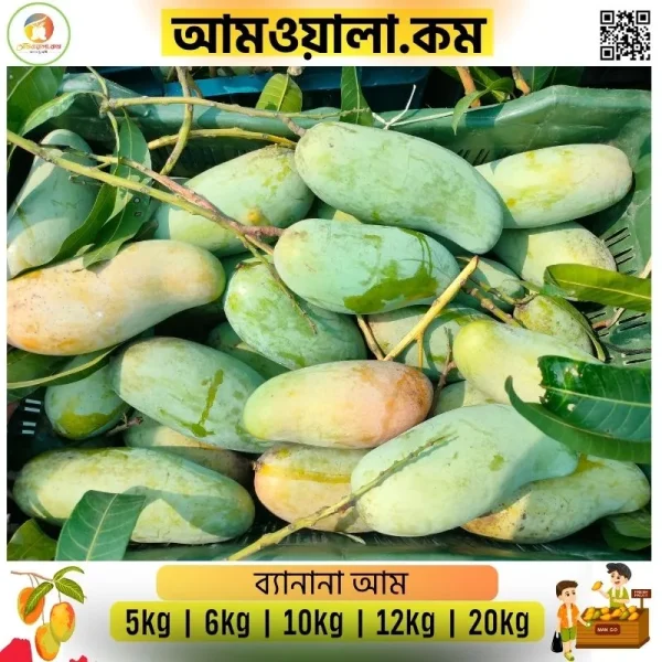 Banana Mango | ব্যানানা ম্যাংগো