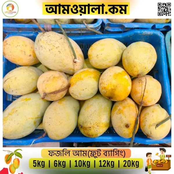 Fozli | ফজলি - Image 2