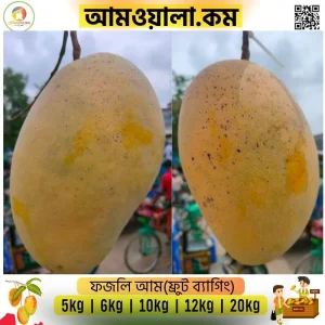 Fozli | ফজলি