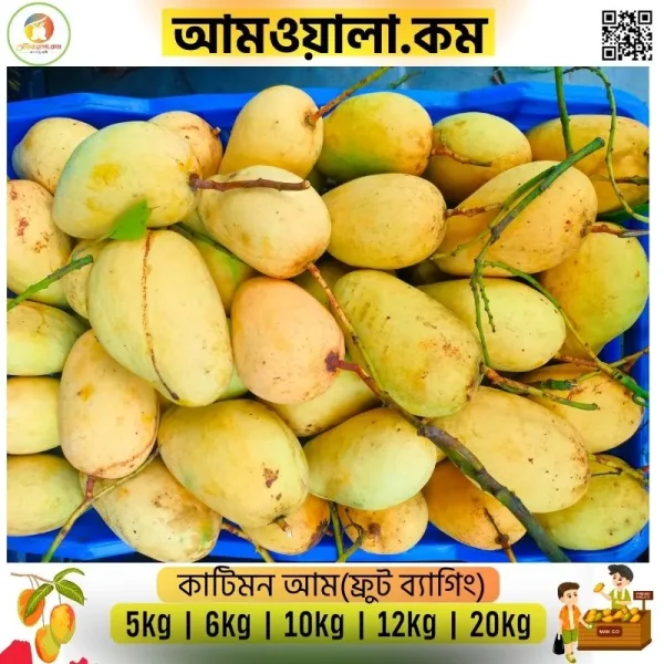Katimon | কাটিমন