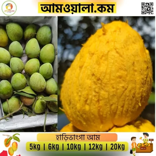 Harivangha | হাড়িভাঙ্গা আম - Image 2