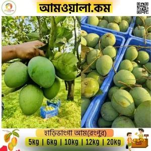 Harivangha | হাড়িভাঙ্গা আম