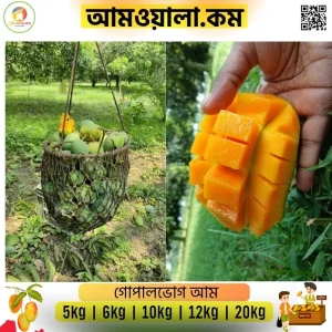 Gopalvogh | গোপালভোগ