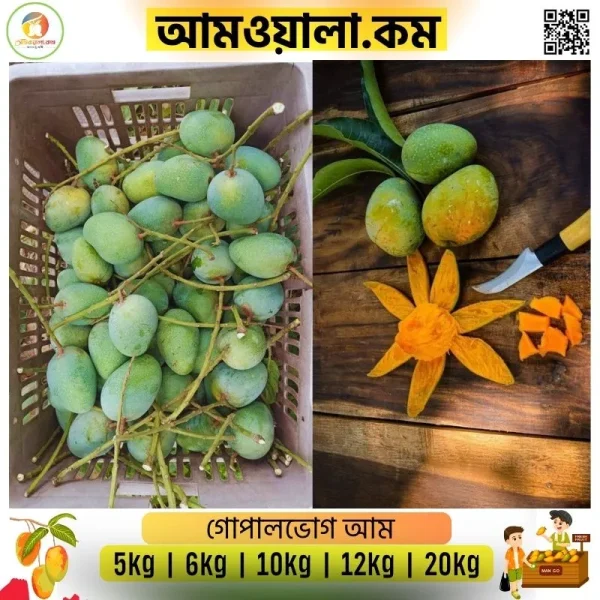 Gopalvogh | গোপালভোগ - Image 2