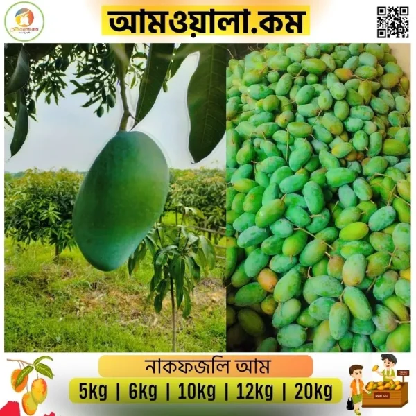Nakfozli | নাকফজলি - Image 2