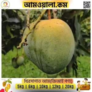 Khirsapat | ক্ষীরশাপাত আম