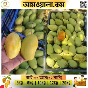 Bari11 | বারি-১১