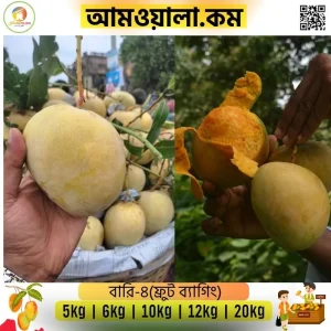 বারি-৪ আম ১৪৫ টাকা কেজি হোম ডেলিভারী সহ