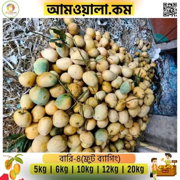 বারি-৪ আম ১৪৫ টাকা কেজি হোম ডেলিভারী সহ - Image 2