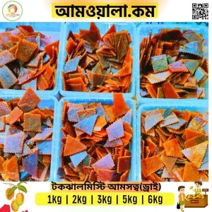 মিক্সড আমের টক ঝাল মিষ্টি আমসত্ত্ব