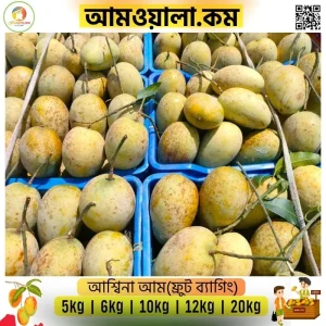 Ashina|আশ্বিনা আম