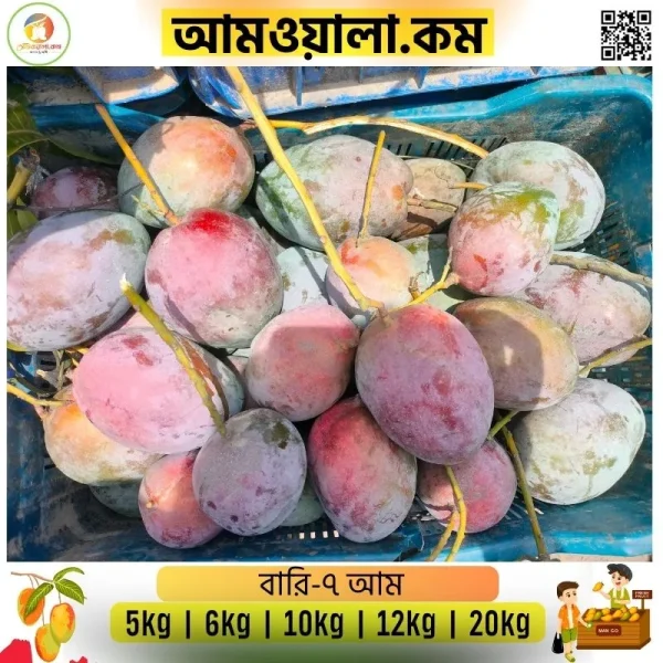 Bari-7|বারি-৭ - Image 2
