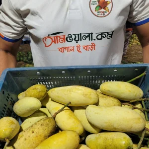 ব্যানানা ম্যাংগো (ব্যাগিং আম)-হোম ডেলিভারী সহ
