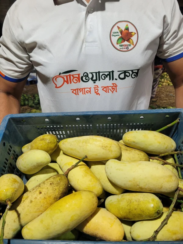 ব্যানানা ম্যাংগো (ব্যাগিং আম)-হোম ডেলিভারী সহ