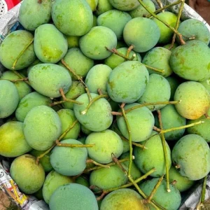 গোবিন্দভোগ আম(২২ কেজি)