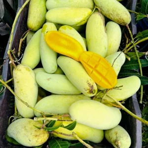 ব্যানানা আম (৬কেজি)