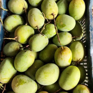 ল্যাংড়া আম (২২ কেজি)